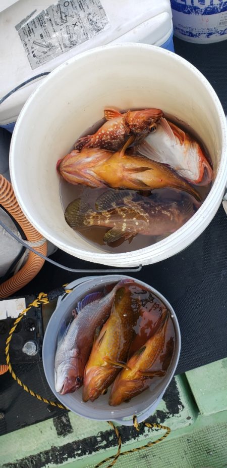 海龍丸（石川） 釣果