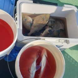 海龍丸（石川） 釣果