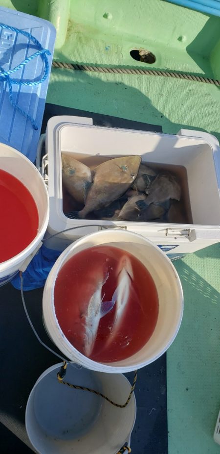 海龍丸（石川） 釣果