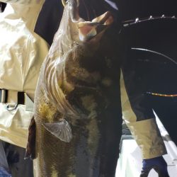 海龍丸(石川) 釣果
