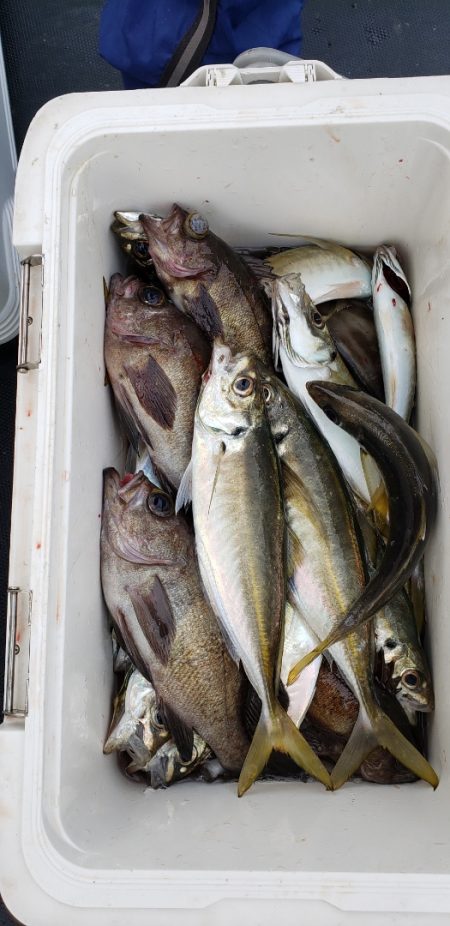 海龍丸（石川） 釣果