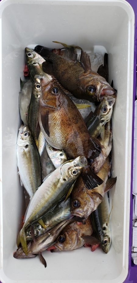 海龍丸（石川） 釣果