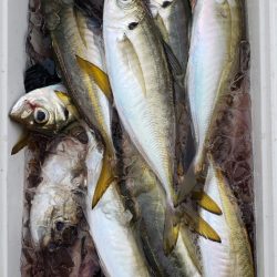 海龍丸（石川） 釣果