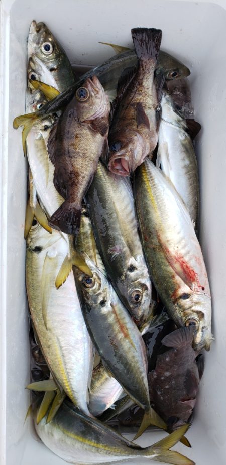 海龍丸（石川） 釣果