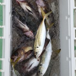 海龍丸（石川） 釣果