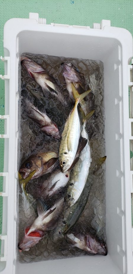 海龍丸（石川） 釣果