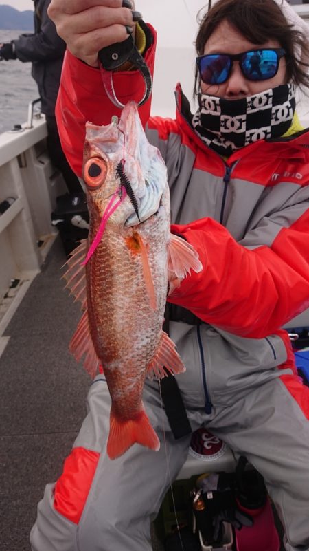 ARCADIAⅡ （アルカディアⅡ） 釣果…