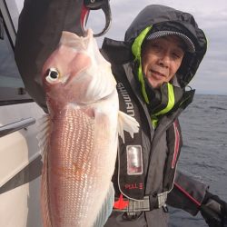 ARCADIAⅡ (アルカディアⅡ) 釣果