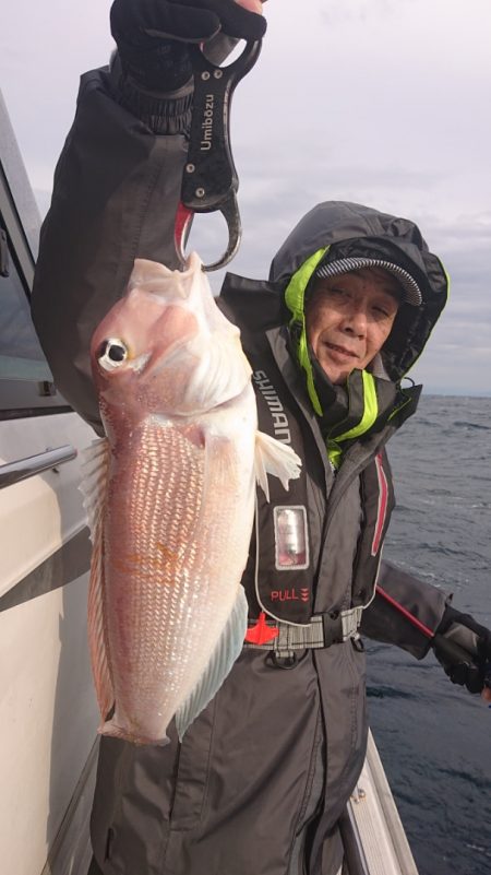 ARCADIAⅡ (アルカディアⅡ) 釣果