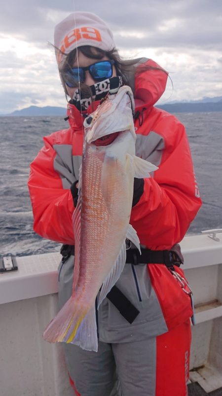 ARCADIAⅡ (アルカディアⅡ) 釣果