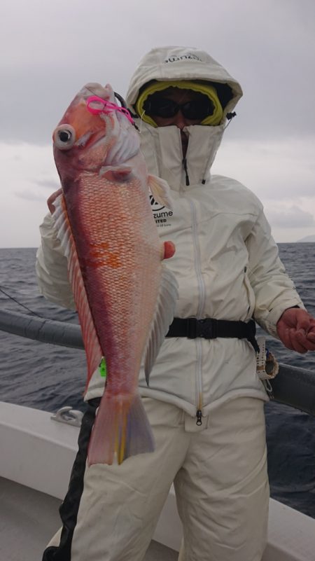 ARCADIAⅡ (アルカディアⅡ) 釣果