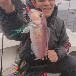 ARCADIAⅡ (アルカディアⅡ) 釣果