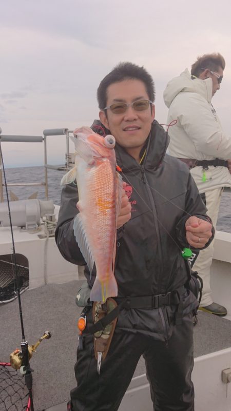 ARCADIAⅡ (アルカディアⅡ) 釣果