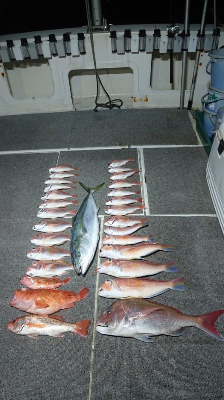 ARCADIAⅡ (アルカディアⅡ) 釣果