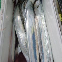 金沢八景鴨下丸 釣果