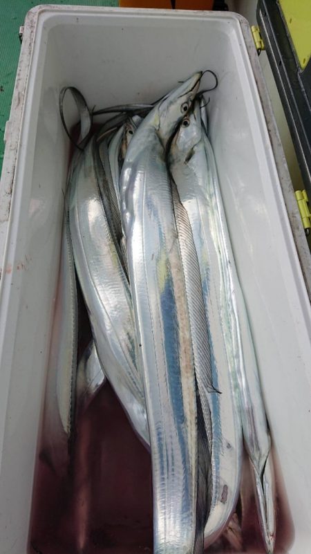 金沢八景鴨下丸 釣果