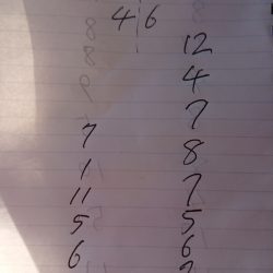 金沢八景鴨下丸 釣果