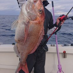 ARCADIAⅡ (アルカディアⅡ) 釣果