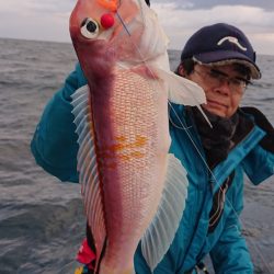 ARCADIAⅡ (アルカディアⅡ) 釣果