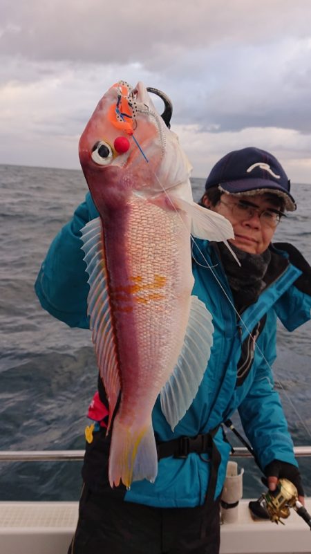 ARCADIAⅡ (アルカディアⅡ) 釣果