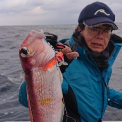 ARCADIAⅡ (アルカディアⅡ) 釣果