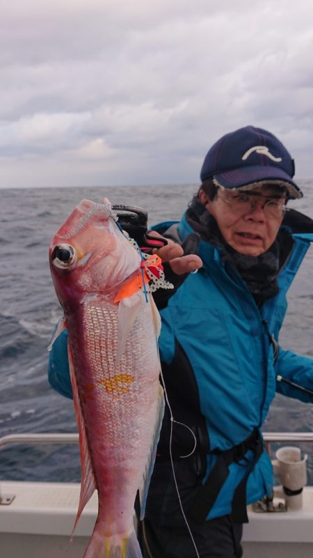 ARCADIAⅡ (アルカディアⅡ) 釣果