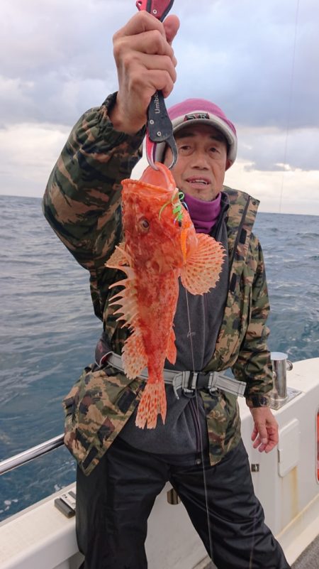 ARCADIAⅡ (アルカディアⅡ) 釣果