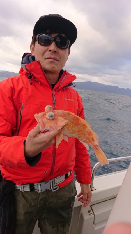 ARCADIAⅡ (アルカディアⅡ) 釣果