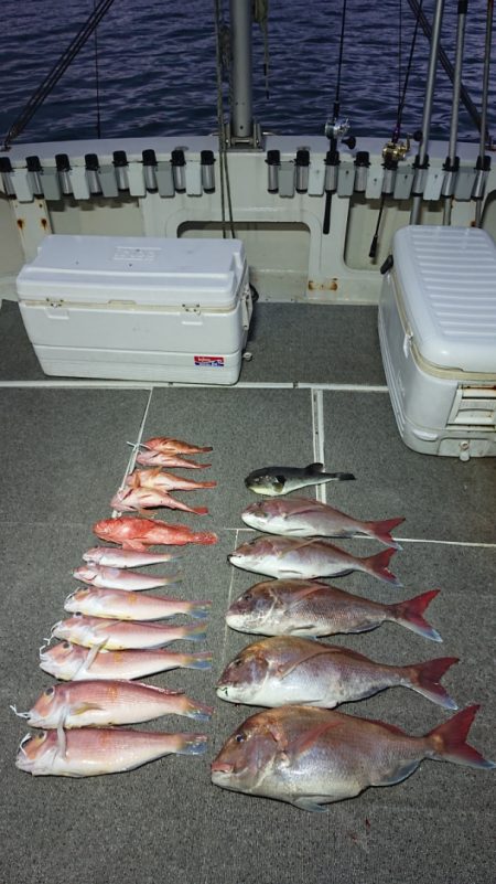 ARCADIAⅡ (アルカディアⅡ) 釣果