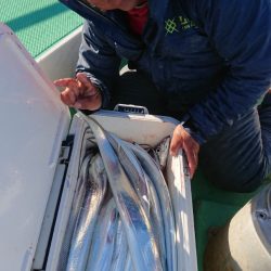 金沢八景鴨下丸 釣果