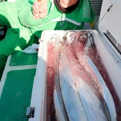 金沢八景鴨下丸 釣果