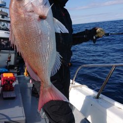 だて丸 釣果