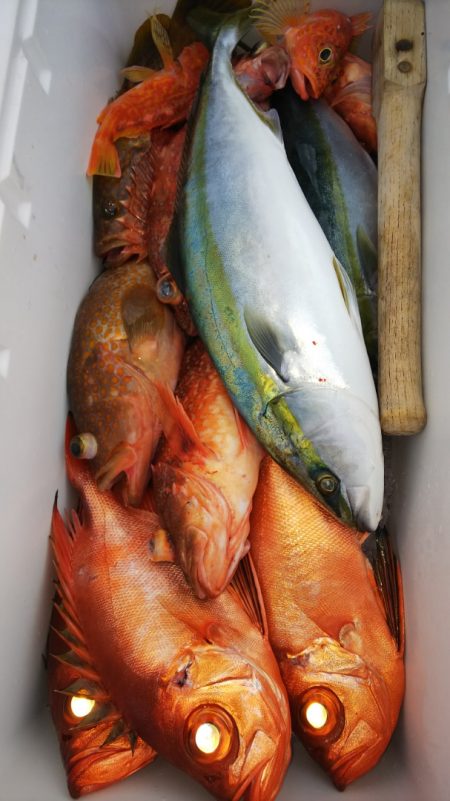 第二龍勢丸 釣果