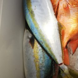 第二龍勢丸 釣果