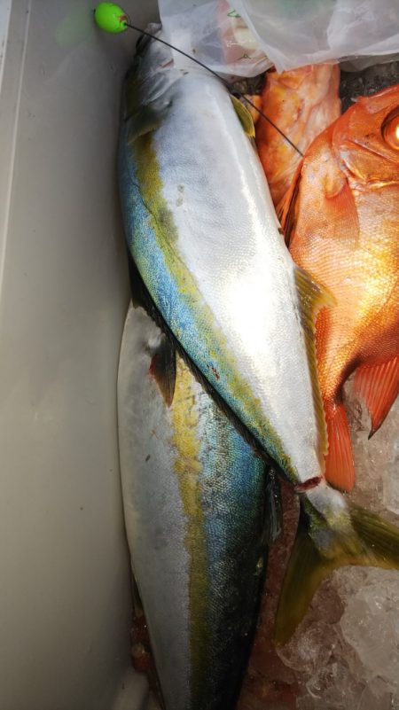 第二龍勢丸 釣果