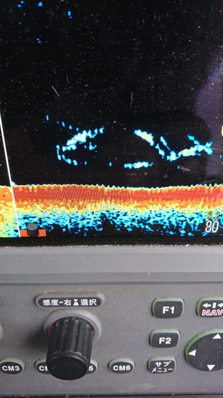 第三共栄丸 釣果