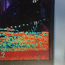 金沢八景鴨下丸 釣果