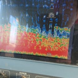 金沢八景鴨下丸 釣果