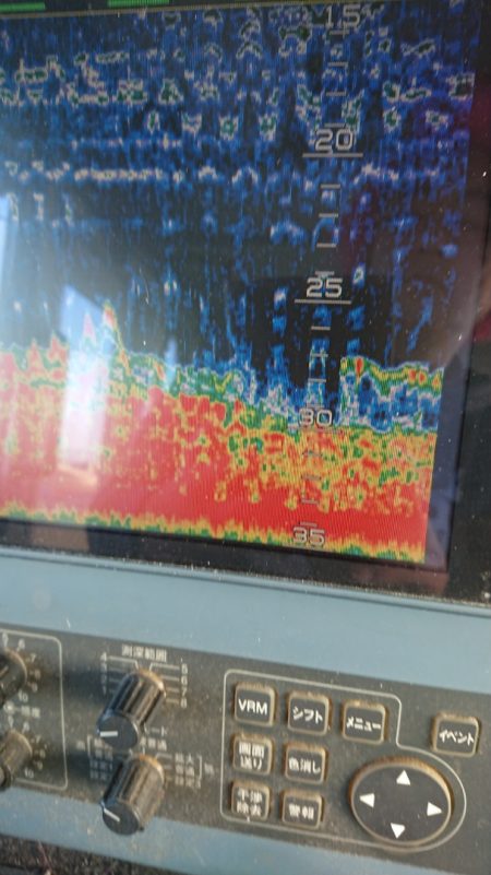 金沢八景鴨下丸 釣果