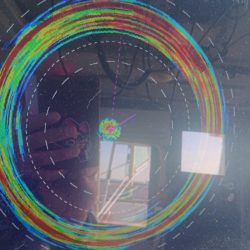 金沢八景鴨下丸 釣果