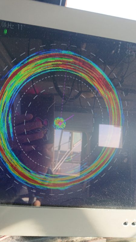 金沢八景鴨下丸 釣果