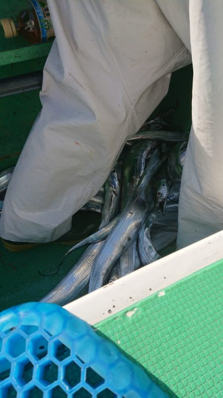 金沢八景鴨下丸 釣果