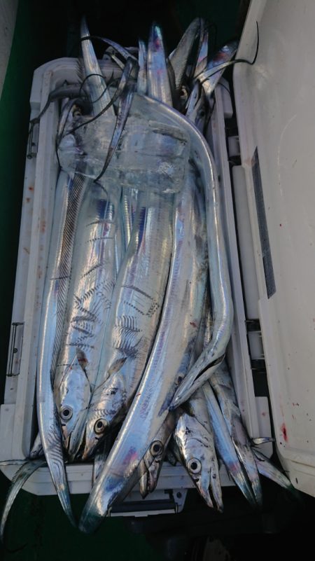 金沢八景鴨下丸 釣果