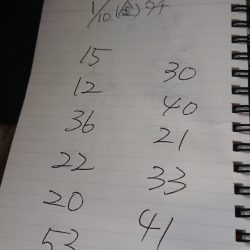 金沢八景鴨下丸 釣果