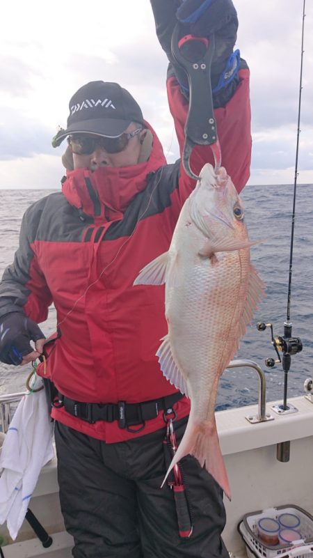 ARCADIAⅡ (アルカディアⅡ) 釣果