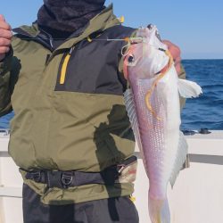 ARCADIAⅡ (アルカディアⅡ) 釣果