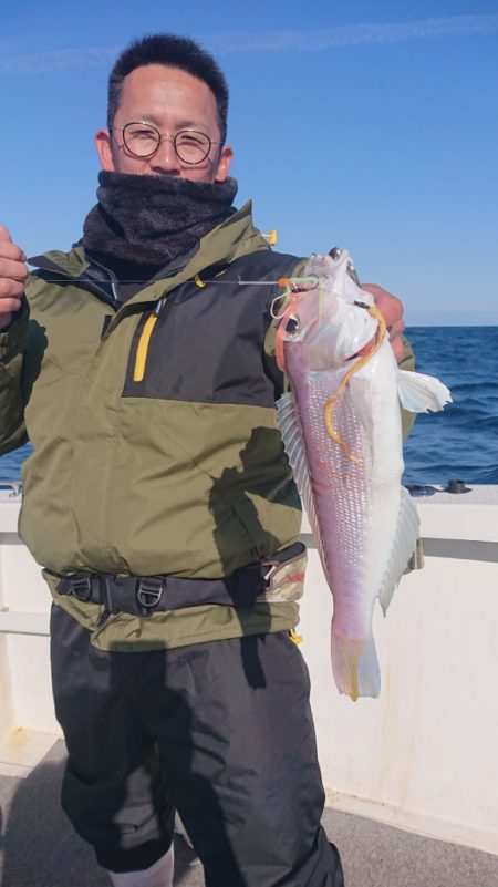 ARCADIAⅡ (アルカディアⅡ) 釣果