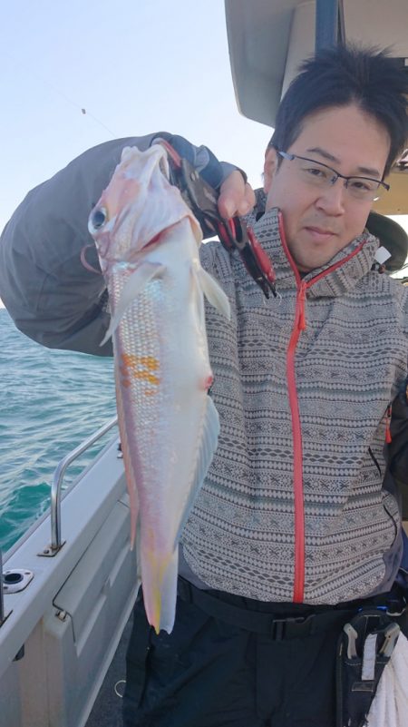 ARCADIAⅡ (アルカディアⅡ) 釣果