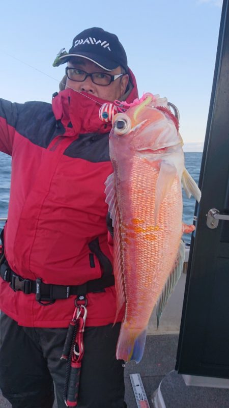 ARCADIAⅡ (アルカディアⅡ) 釣果