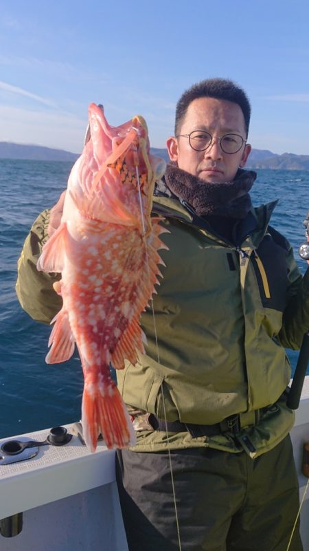 ARCADIAⅡ (アルカディアⅡ) 釣果